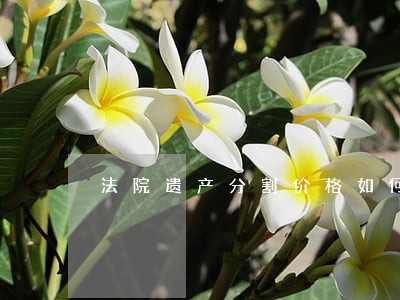 法院遗产分割价格如何确定