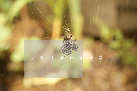 法院遗漏数罪并罚