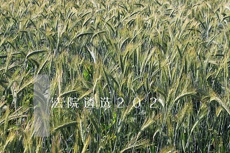 法院遴选202 法院遴选202