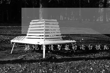 法院邀请专家讨论白领死亡博客案