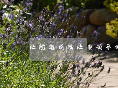 法院邀请政法委领导执行难