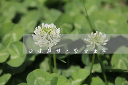 法院邀请民营企业家