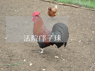 法院邝子球 法院邝子球