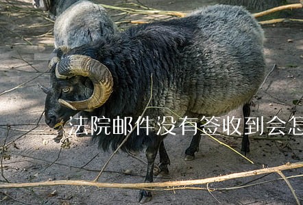法院邮件没有签收到会怎么样 法院邮件没有签收到会怎么样