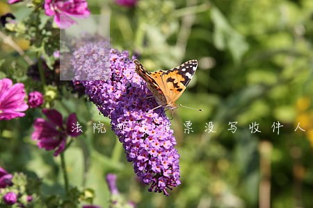 法院邮寄传票没写收件人姓名 法院邮寄传票没写收件人姓名
