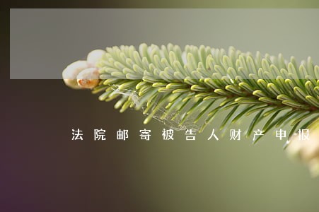 法院邮寄被告人财产申报 法院邮寄被告人财产申报