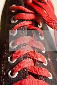 法院郑洪周 法院郑洪周