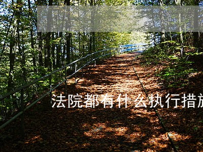 法院都有什么执行措施 法院都有什么执行措施
