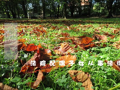 法院配偶子女从事法律工作人员
