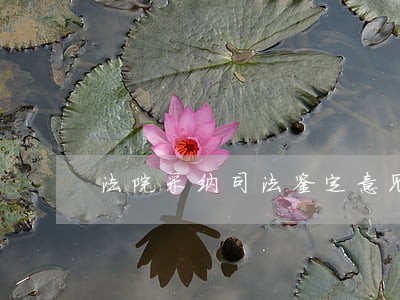 法院采纳司法鉴定意见书吗 法院采纳司法鉴定意见书吗
