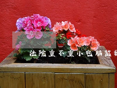 法院重不重小电脑监狱几年 法院重不重小电脑监狱几年