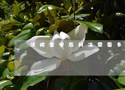 法院重审后判决需要多少时间 法院重审后判决需要多少时间