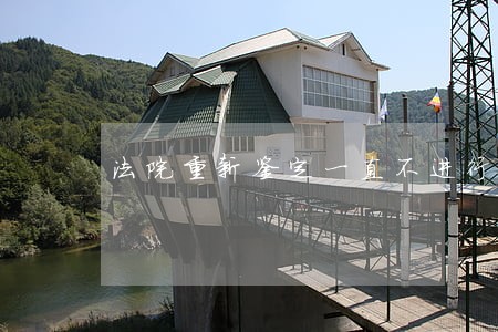 法院重新鉴定一直不进行 法院重新鉴定一直不进行