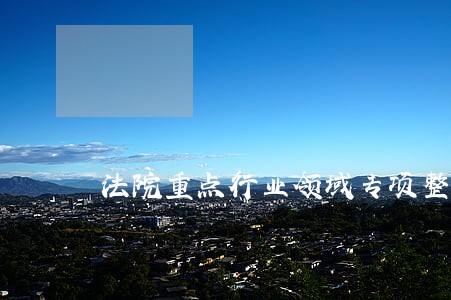 法院重点行业领域专项整治 法院重点行业领域专项整治