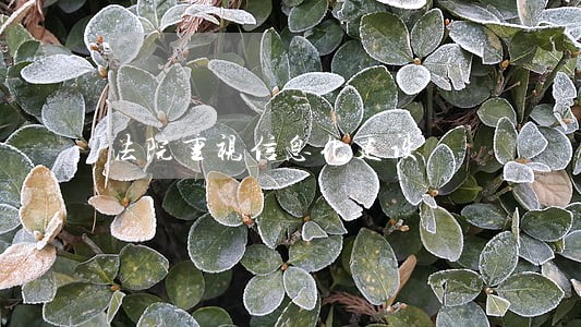 法院重视信息化建设 法院重视信息化建设