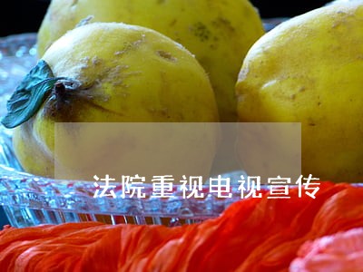 法院重视电视宣传