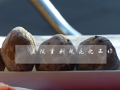 法院量刑规范化工作汇报 法院量刑规范化工作汇报