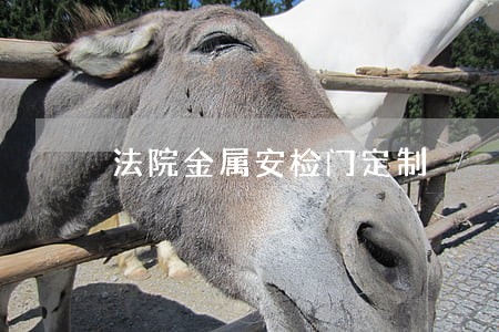 法院金属安检门定制