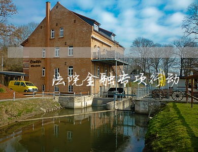 法院金融专项行动