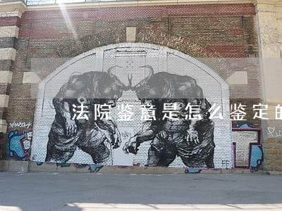 法院鉴意是怎么鉴定的 法院鉴意是怎么鉴定的