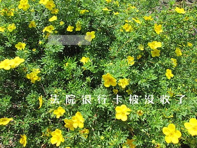 法院银行卡被没收了 法院银行卡被没收了
