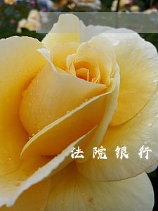 法院银行联合执法 法院银行联合执法
