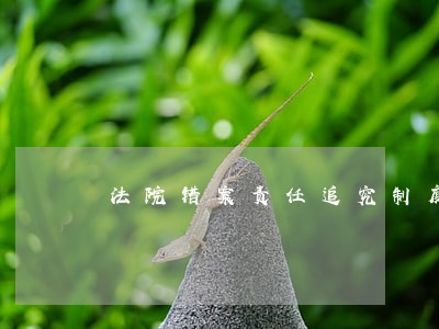 法院错案责任追究制度的法理思考 法院错案责任追究制度的法理思考