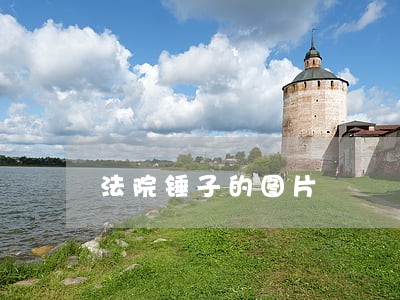 法院锤子的图片 法院锤子的图片