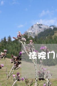 法院门口举牌应援 法院门口举牌应援