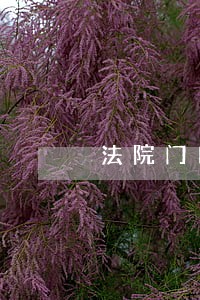 法院门口女神像 法院门口女神像