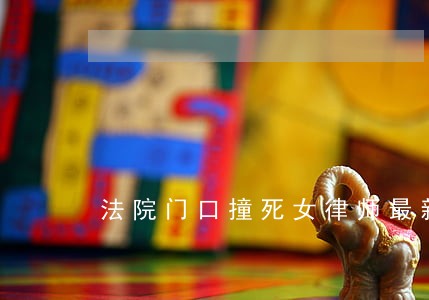 法院门口撞死女律师最新消息