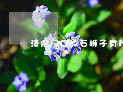 法院门口放石狮子有什么讲究 法院门口放石狮子有什么讲究