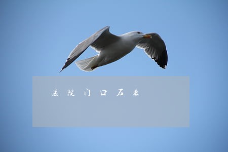 法院门口石象