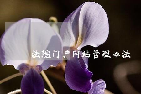 法院门户网站管理办法