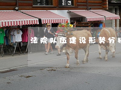 法院队伍建设形势分析会 法院队伍建设形势分析会