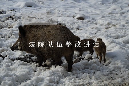 法院队伍整改讲话 法院队伍整改讲话