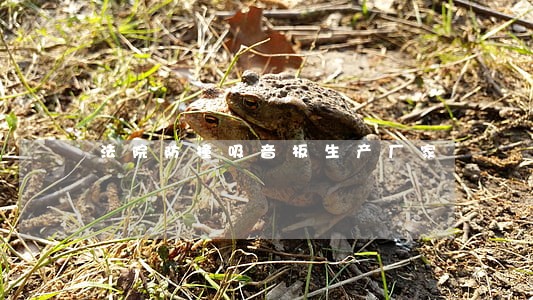 法院防撞吸音板生产厂家 法院防撞吸音板生产厂家