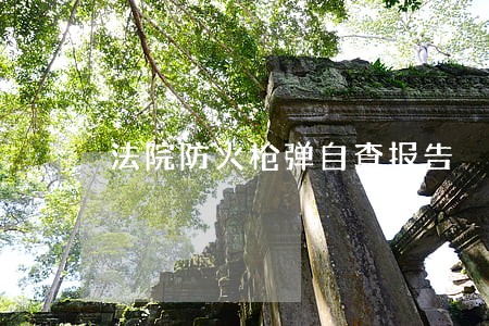 法院防火枪弹自查报告 法院防火枪弹自查报告