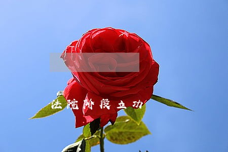 法院阶段立功 法院阶段立功