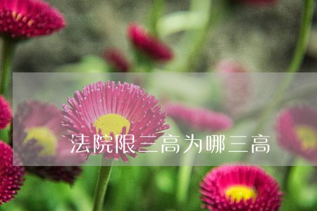 法院限三高为哪三高