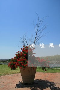 法院限制我的高消费了 法院限制我的高消费了