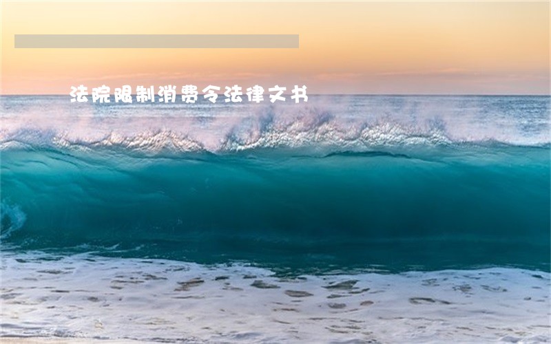 法院限制消费令法律文书