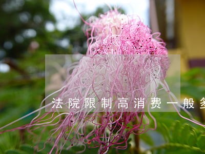 法院限制高消费一般多长时间 法院限制高消费一般多长时间