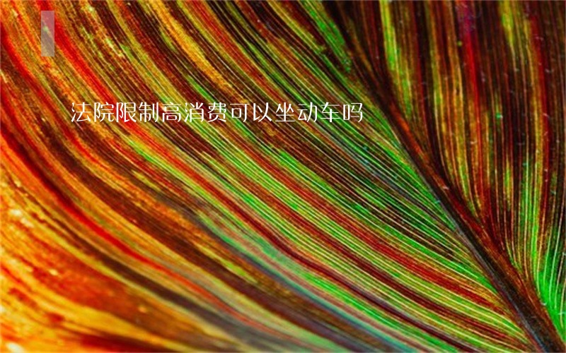 法院限制高消费可以坐动车吗 法院限制高消费可以坐动车吗