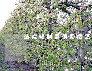 法院限制高消费后怎么可以取消 法院限制高消费后怎么可以取消