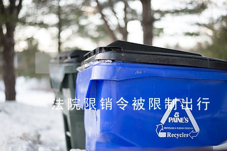 法院限销令被限制出行