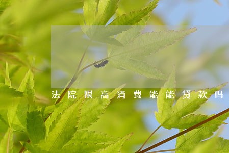 法院限高消费能能贷款吗 法院限高消费能能贷款吗