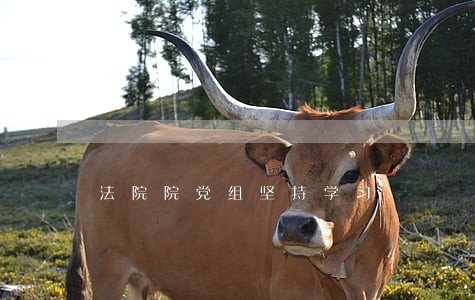 法院院党组坚持学习 法院院党组坚持学习