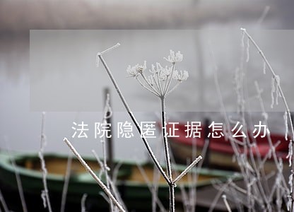 法院隐匿证据怎么办 法院隐匿证据怎么办