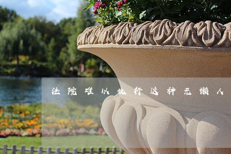 法院难以执行这种无懒人 法院难以执行这种无懒人